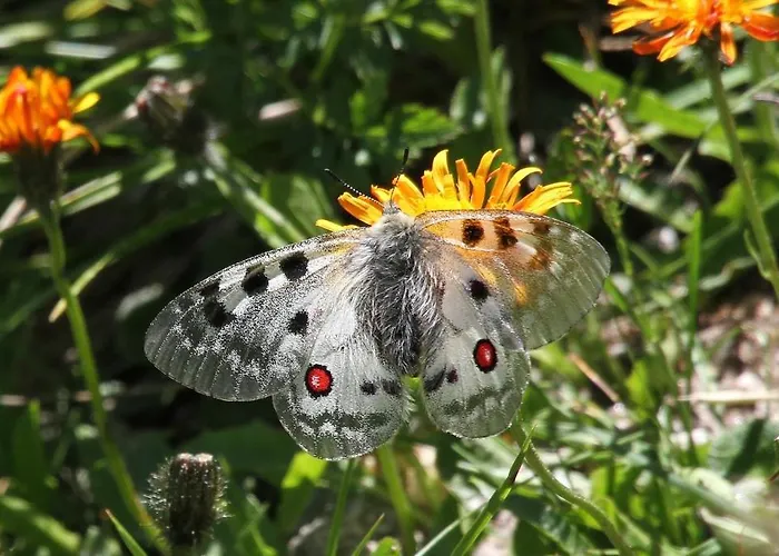 Dorfplatzl Bed and Breakfast